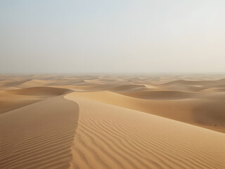Desert Sands: A vast and undulating expanse of sand dunes stretches toward the horizon under a hazy sky, creating a serene and desolate landscape