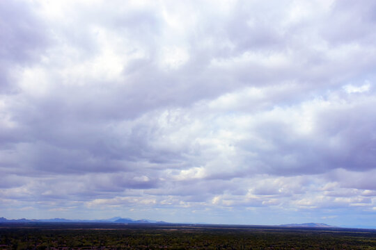Fototapeta Sonoran Desert Arizona Picacho Peak State Park Late Winter