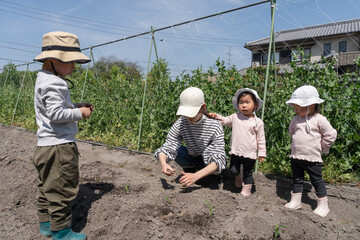 畑作業をする親子
