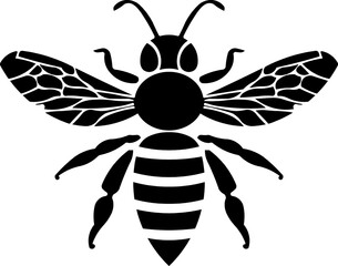 Graphic illustration of silhouette honey bee. Isolated on background vector drawing for honey products, package, design.