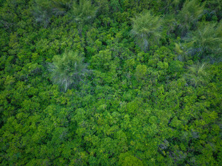 Aerial view tropical rainforest on sea island
