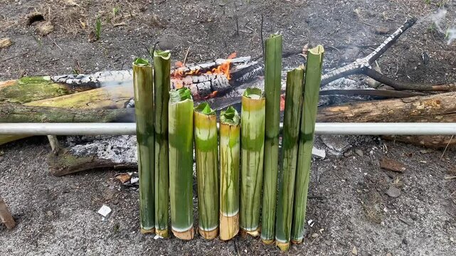 cook traditional food lemang bamboo