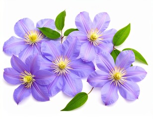 bouquet of flowers