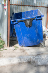 Large blue dumpster positioned at an urban alleyway, surrounded by a metal fence and concrete pavement, showcasing waste management and environmental concerns in city life