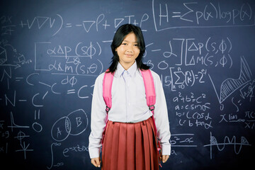 Smart Schoolgirl Standing in Front of Chalkboard with Math and Science Formulas