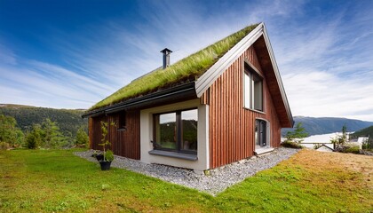 Obraz premium an eco friendly nordic house with a green roof isolated transparent