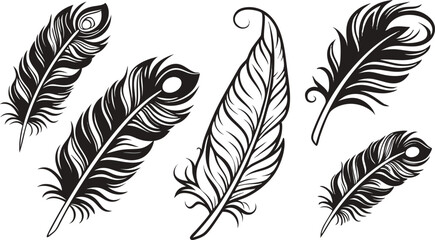 Obraz premium feather vector illustration
