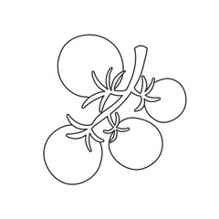 Simple outline drawing of tomatoes on a vine in minimal vector style. 
Perfect for coloring pages, botanical sketches, and food-themed illustrations.