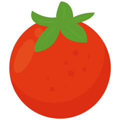 Healthy Food Illustration