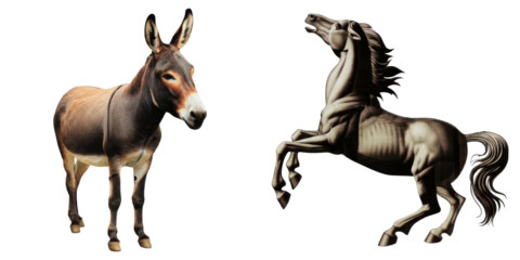 PNG and a horse stand side-by-side in a collage.