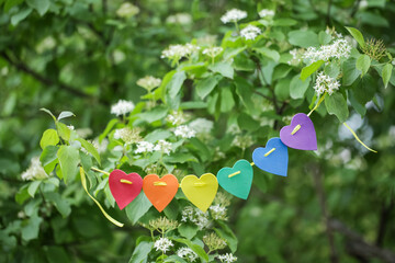 Rainbow Hearts LGBT. Colorful Paper Heart Garland Hanging Outdoors in Spring. Pride Month. Love, human rights, tolerance