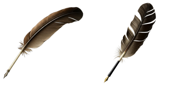 PNG Two feathers with a quill pen rest on a white background.
