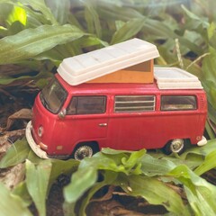 old car on the grass