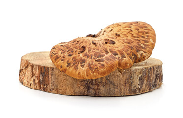 Brown wood mushroom on a stump.