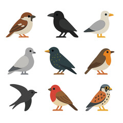 Urban Bird Icons. Flat icon set of urban bird species: sparrow, crow, seagull, dove, starling, robin, chimney