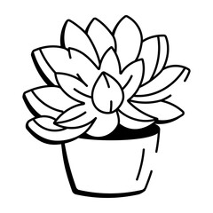 A drawing style icon of succulent
