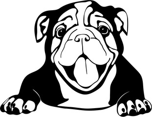 American Bulldog SVG Digital Cut File for Cricut and Silhouette


