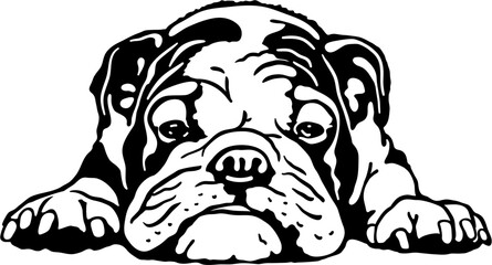 American Bulldog SVG Digital Cut File for Cricut and Silhouette



