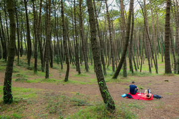 Two men in the forest resting and enjoying nature. Lying on a red blanket, reading, eating, and chatting
