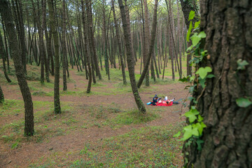 Two men in the forest resting and enjoying nature. Lying on a red blanket, reading, eating, and chatting
