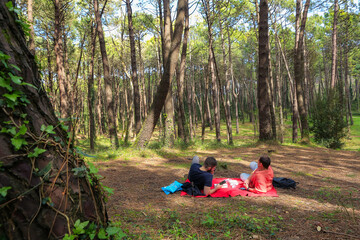 Two men in the forest resting and enjoying nature. Lying on a red blanket, reading, eating, and chatting