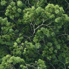 Naklejka premium Seamless Forest Canopy Pattern from Bird’s-Eye View..