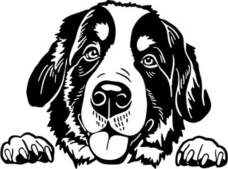 Saint Bernard Dog SVG Clipart for Cricut and Silhouette Crafts

