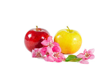 Shiny juicy red and yellow apples with apple blossoms and leaves isolated on white.