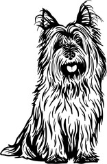Skye Terrier Dog SVG Clipart for Cricut and Silhouette Crafts

