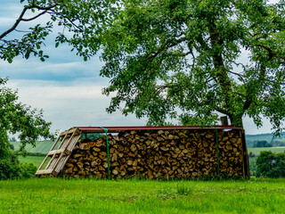 Brennholz lagert auf einer Wiese im Frühjahr