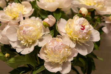 bouquet of white roses