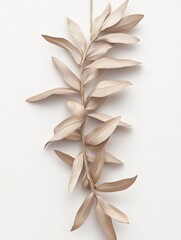 Long, thin, brown leafy branch with a white background