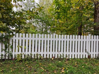 White wooden fence, trees and grass