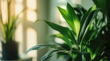 Modern graphic design studio corner showcasing clean, minimalist aesthetics and creative workspace design.