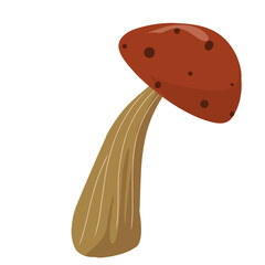 vector illustration of mushroom,red mushroom