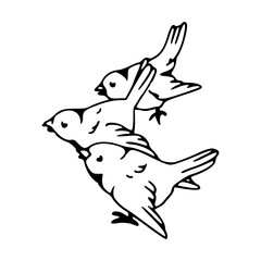minimalist bird trio illustration