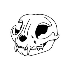 feline skull outline illustration