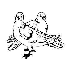 doves couple outline design