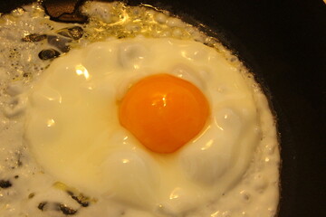 Spiegelei, gebratenes Ei