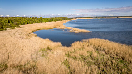 grass on the bank of lake