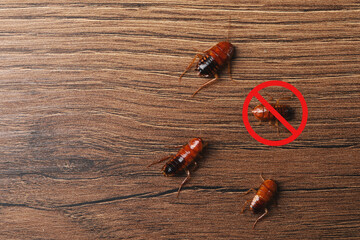 Pest control. Cockroaches and red prohibition sign on wooden surface, top view. Space for text