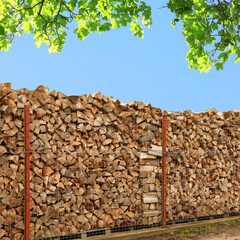 Stacked cut firewood under tree branches with green leaves