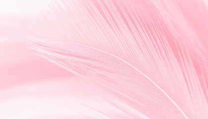 Beautiful soft pink feather pattern texture background delicate pastel design seamless feather texture elegant pink background