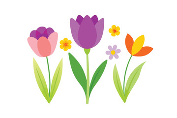 bouquet of colorful tulips