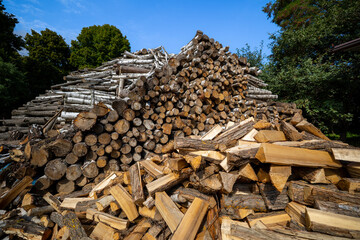 A massive pile of various logs, including birch, is stacked outdoors under a clear blue sky,...