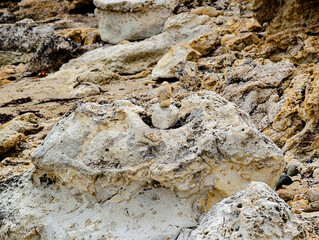 Eroded coastal rock formation on a beach, shaped by wind and sea over time. Natural textures and...