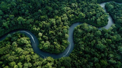  Aerial shot of a winding river through a dense forest