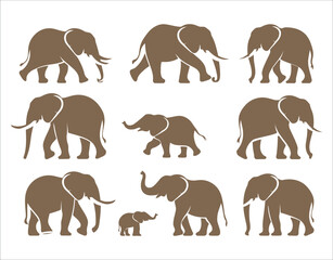Fototapeta premium Professional Elephant Vector Icons