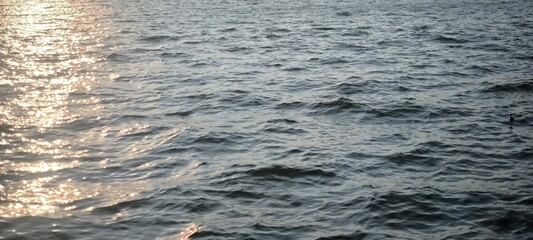 Fototapeta premium Water waves and evening light for background