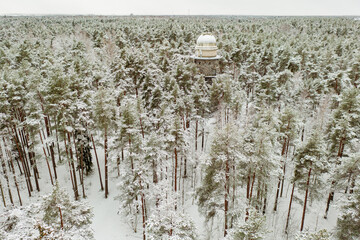 Old observatory tower in the Glen park, in fir forest. Tallinn, Estonia.